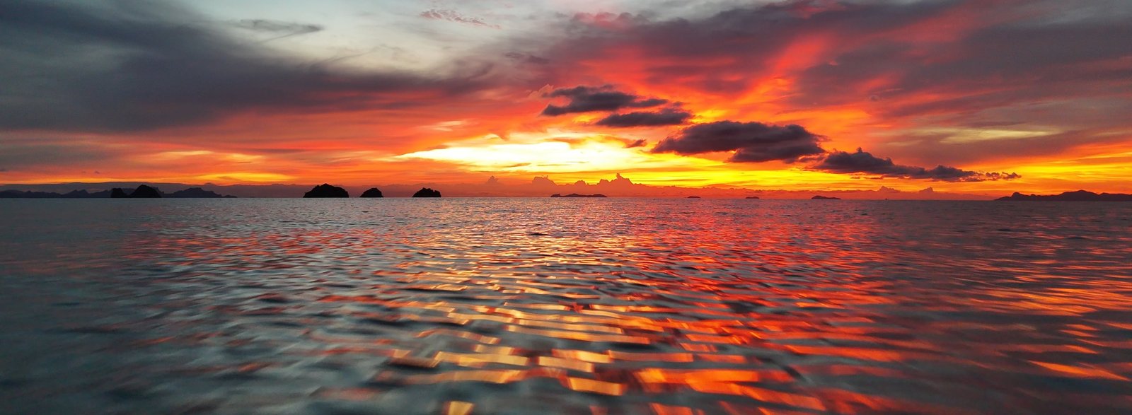 Beautiful property landscape