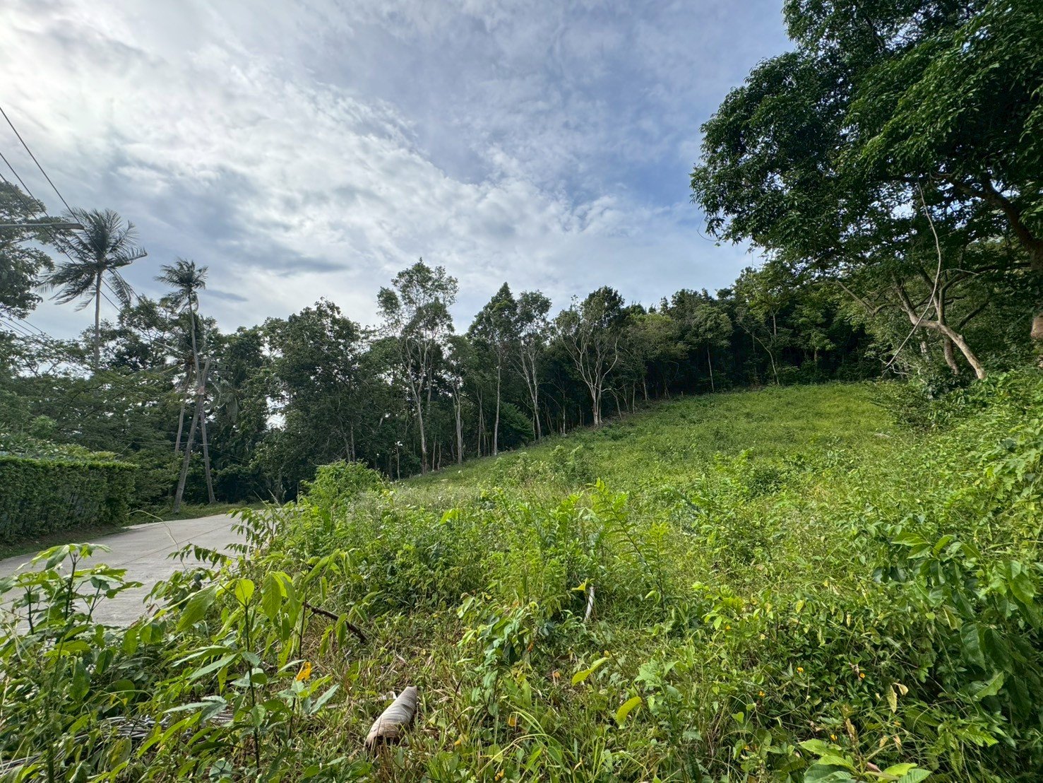 Mountain View Land for Sale – Bangpor Soi 1