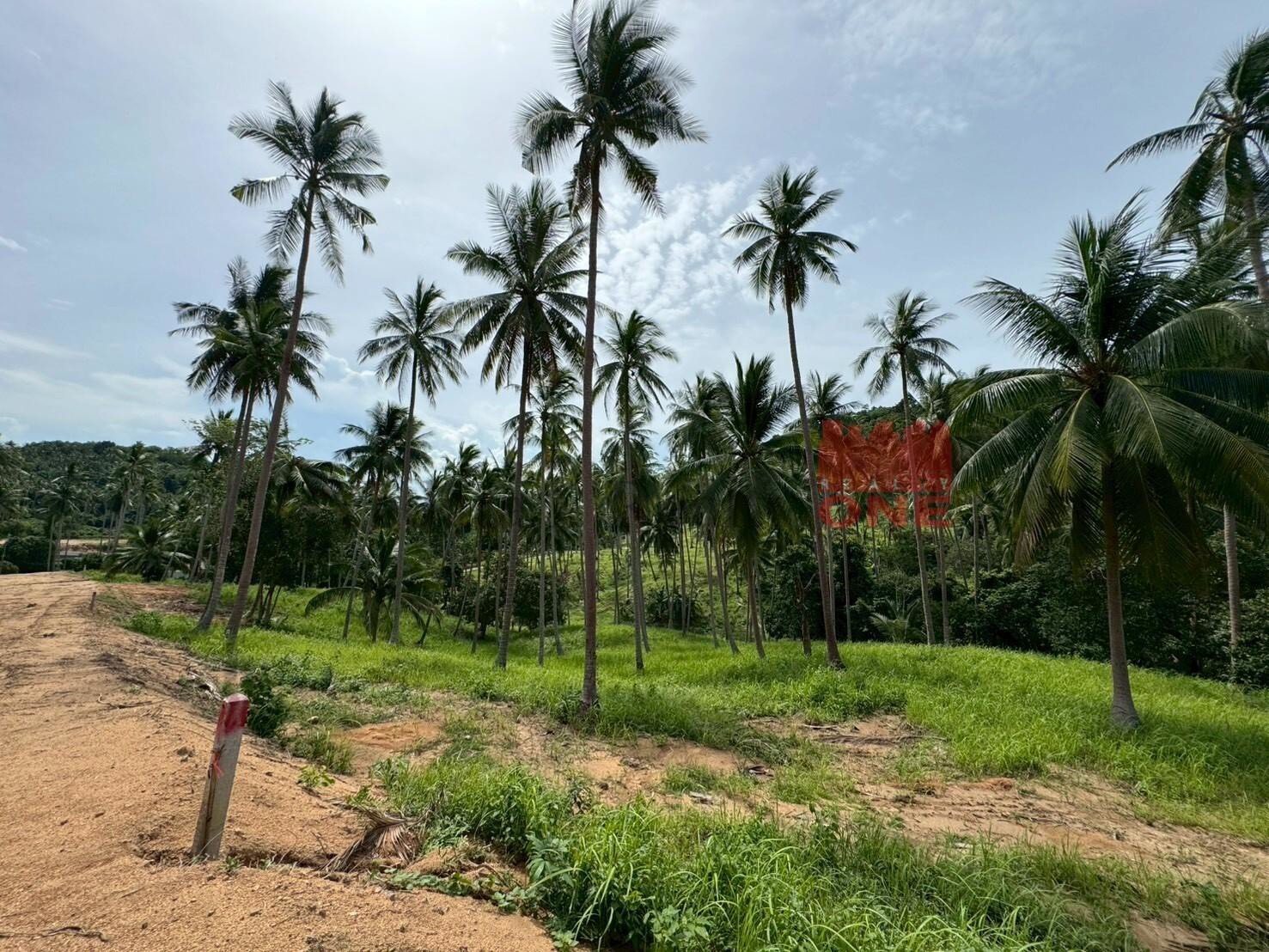 Land Plots for Sale – Bang Por, Koh Samui