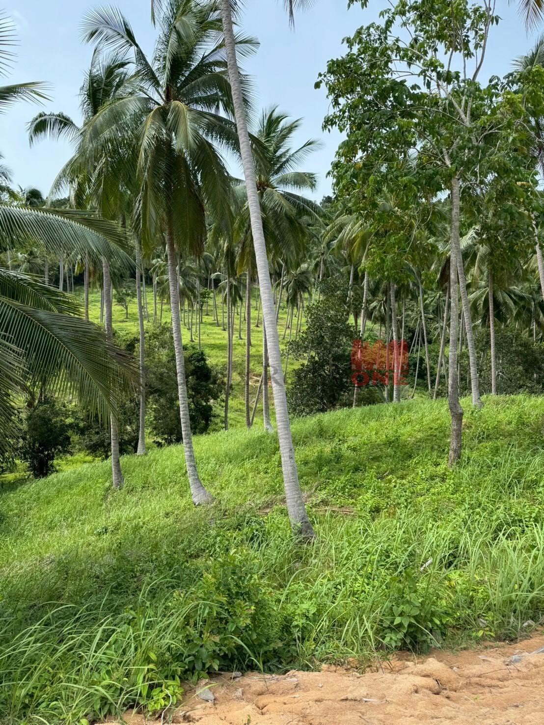 Land Plots for Sale – Bang Por, Koh Samui