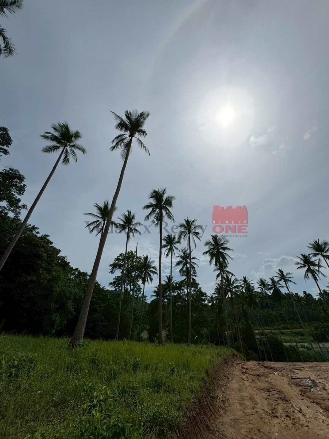 Land Plots for Sale – Bang Por, Koh Samui