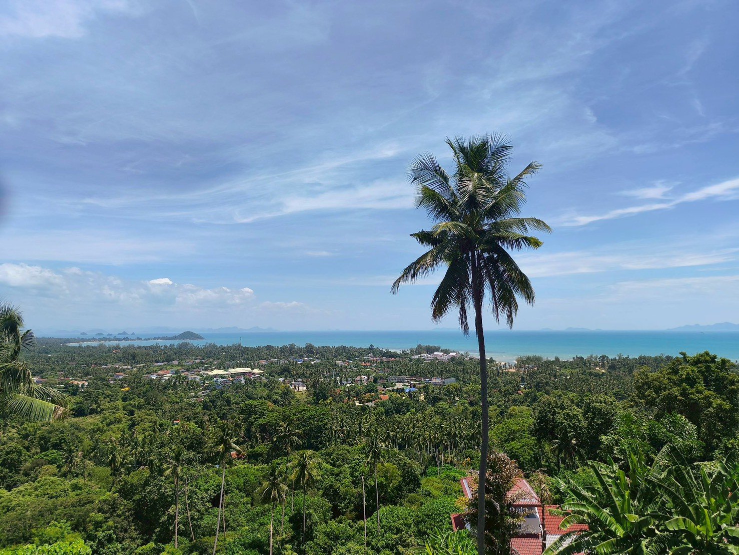 Sea-View Land for Sale – Angthong