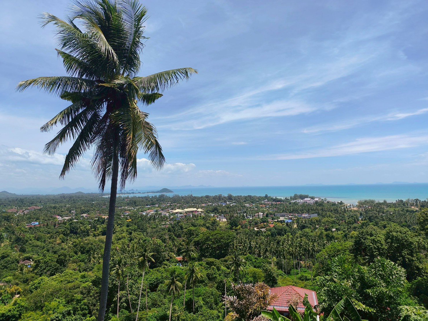 Sea-View Land for Sale – Angthong