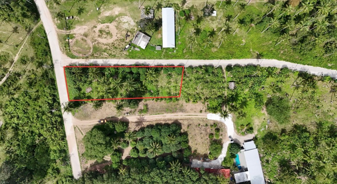 Mountain view Land for Long-Term Lease